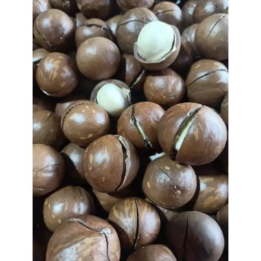 Hạt và Quả Macca Đăk Lăk 1kg Ngon Ngào - Giá Ưu Đãi 99.000đ, Giao Nhanh 3