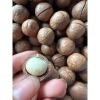 Hạt và Quả Macca Đăk Lăk 1kg Ngon Ngào - Giá Ưu Đãi 99.000đ, Giao Nhanh 4
