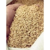 Hạt Yến Mạch Hữu Cơ Nguyên Hạt Tách Vỏ 500g Viettin Mart Giảm 22% Dinh Dưỡng Cao Không Chất Bảo Quản 5