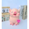 Heo đất 3D HOT, Lợn đất TAI VỂNH NGÂM TIỀN, Ống tiết kiệm - Chỉ 66.666 VND 5