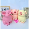 Heo đất 3D HOT, Lợn đất TAI VỂNH NGÂM TIỀN, Ống tiết kiệm - Chỉ 66.666 VND 6