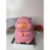 Heo Đất PiPo Ống Tiết Kiệm Mẫu Chuột Capybara Size To Dễ Thương - Giá 79.968đ 6