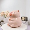 Heo đất tiết kiệm CAPYBARA, Heo Chuột Lang Cute 2.024 mẫu hot HĐMB42 - giá chỉ 85.999₫ 4