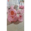 Heo đất tiết kiệm Capybara size to - ống tiết kiệm decor quà tặng giá xưởng 58.999đ 5