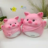 Heo đất tiết kiệm Heo Đeo Túi Thỏ lớn cute - quà tặng, ống tiết kiệm 86.000đ 5