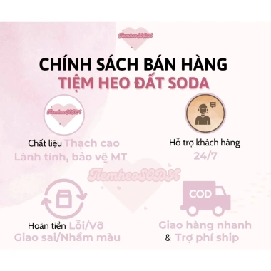 Heo đất tiết kiệm Heo Má Phính cute lỗ tròn size to và nhỏ - quà tặng trang trí ống TiệmHeosoda giảm giá 50.000₫ 5 Heo đất tiết kiệm Heo Má Phính cute lỗ tròn size to và nhỏ - quà tặng trang trí ống TiệmHeosoda giảm giá 50.000₫ 5