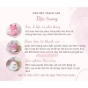 Heo đất tiết kiệm Heo Má Phính cute lỗ tròn size to và nhỏ - quà tặng trang trí ống TiệmHeosoda giảm giá 50.000₫ 6