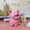 Heo Đất Tiết Kiệm Mẫu Hót Tai Vểnh - Đồ Trang Trí Đáng Yêu, Giá 65.000 VNĐ 9