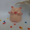 Heo đất tiết kiệm mini 15cm dạng bánh bao - Giá chỉ 45.000₫, chất liệu phúng phĩnh bền bì 6