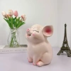 Heo đất tiết kiệm size to màu hồng - Mini dễ thương, ống heo lợn đất, giảm giá 22% chỉ 78.000₫ 2