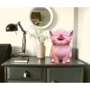 Heo đất tiết kiệm size to màu hồng - Mini dễ thương, ống heo lợn đất, giảm giá 22% chỉ 78.000₫ 3