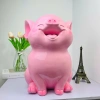 Heo Đất Tiết Kiệm SuKa – Mẫu Heo Hót, Ống Heo Tiết Kiệm, Giá 75.000đ 9
