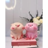 Heo hồng Má Phịnh cute - Heo đất Su Su ống tiết kiệm, quà tặng, 45.000đ 3