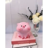 Heo hồng Má Phịnh cute - Heo đất Su Su ống tiết kiệm, quà tặng, 45.000đ 4