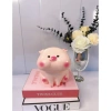 Heo hồng Má Phịnh cute - Heo đất Su Su ống tiết kiệm, quà tặng, 45.000đ 5