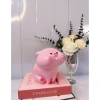 Heo hồng Má Phịnh cute - Heo đất Su Su ống tiết kiệm, quà tặng, 45.000đ 6