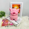 Heo Hót Dáng Ngồi Tai Vểnh Size Nhỏ Ống Heo Đựng Tiền Trang Trí 100% Ảnh Thật 6