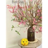 Heo Sứ Size Vừa 11x16cm Trang Trí Đồ Gỗ Đáng Yêu - Giá Giảm 129.000₫ 4