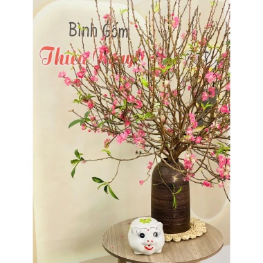 Heo Sứ Size Vừa 11x16cm Trang Trí Đồ Gỗ Đáng Yêu - Giá Giảm 129.000₫ 5