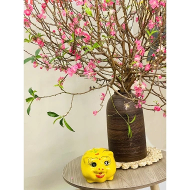 Heo Sứ Size Vừa 11x16cm Trang Trí Đồ Gỗ Đáng Yêu - Giá Giảm 129.000₫ 7