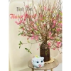 Heo Sứ Size Vừa 11x16cm Trang Trí Đồ Gỗ Đáng Yêu - Giá Giảm 129.000₫ 8