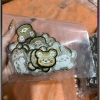 Hình Thêu Gấu Nâu Nhỏ - Patch ủi nhiệt siêu dẻo, giá chỉ 5.000 VND 2