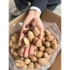 Hồ Đào Thơm Béo 1kg - Hạt Tẩm Vị Ăn Vặt, Quà Biếu, Giảm Giá 196.999 VNĐ 4