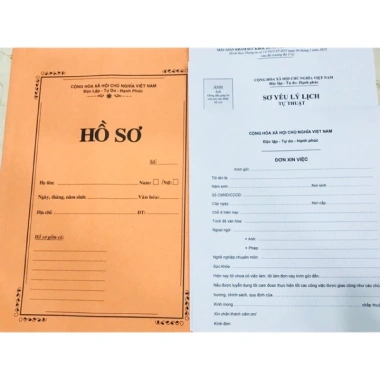 Hồ sơ xin việc trọn gói: Đơn xin việc, 2 CV, giấy sức khỏe, đơn hạnh kiểm - Giá chỉ 20.000đ