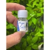Hỗ trợ thay lông chim cảnh – Giải pháp nhanh, an toàn, giá chỉ 60.000 VNĐ