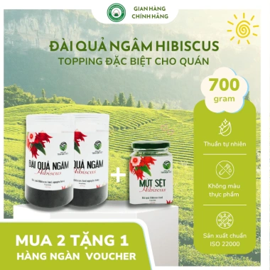 Hoa Atiso Đỏ Ngâm Đường Syrup - Mứt Ngâm Không Bảo Quản, Không Tạo Màu 435g/800g Giá 379,000₫
