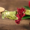 HOA CẨM CHƯỚNG KHÔ 100g Carnation – Pha trà, trang trí, phù thuỷ | Ancient Magic của Ly Hỏa – chỉ 19.999₫ 4