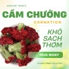 HOA CẨM CHƯỚNG KHÔ 100g Carnation – Pha trà, trang trí, phù thuỷ | Ancient Magic của Ly Hỏa – chỉ 19.999₫ 6