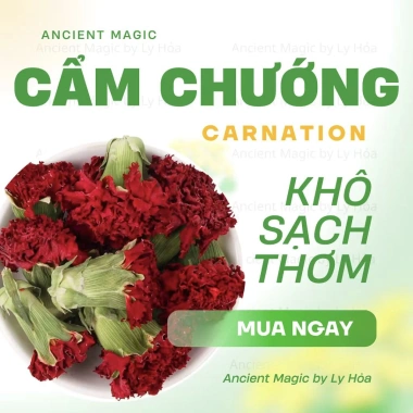 HOA CẨM CHƯỚNG KHÔ 100g Carnation – Pha trà, trang trí, phù thuỷ | Ancient Magic của Ly Hỏa – chỉ 19.999₫ 6