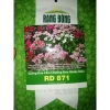 Hoa cẩm chướng nhiều màu - Đóng gói 0.1gr, giá chỉ 14.500₫, khuyến mãi hấp dẫn 5