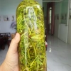 Hoa đu đủ đực tươi ngâm mật ong rừng nguyên chất - Giảm giá 160.000đ