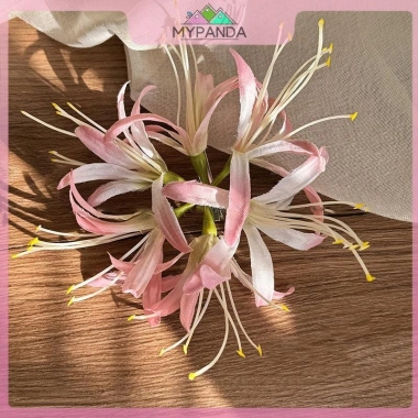 Hoa Duckbill Lily – Phong cách tinh tế mùa hè, giá ưu đãi 45.576₫, tươi lâu, trang trí nhà sang trọng