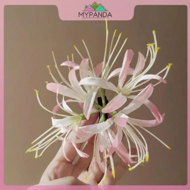 Hoa Duckbill Lily – Phong cách tinh tế mùa hè, giá ưu đãi 45.576₫, tươi lâu, trang trí nhà sang trọng 9 Hoa Duckbill Lily – Phong cách tinh tế mùa hè, giá ưu đãi 45.576₫, tươi lâu, trang trí nhà sang trọng 9