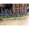 Hoa Giả - Hàng Rào Trang Trí Nhà Cửa - Sunflower, Thủy Tiên, Cúc Hoạ Mi - Giá 175k 4