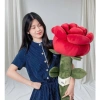 Hoa Hồng Nhồi Bông Khổng Lồ - Quà Tặng Bạn Gái 20/10 Valentine, Giá 250k