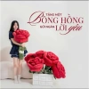 Hoa Hồng Nhồi Bông Khổng Lồ - Quà Tặng Bạn Gái 20/10 Valentine, Giá 250k 4