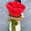 Hoa Hồng Nhồi Bông Khổng Lồ - Quà Tặng Bạn Gái 20/10 Valentine, Giá 250k 5