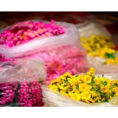 Hoa Mai & Đào Cao Cấp Nhẹ 1kg Vải Mềm - Trang Trí Phòng Tết 2.025 Giá 80.000₫