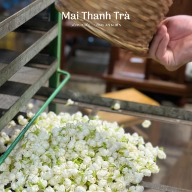 Hoa nhài sấy khô Mai Thanh Trà – Thư giãn, an thần, làm đẹp da, hương thơm thiên nhiên