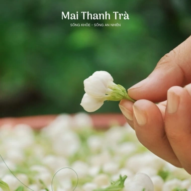 Hoa nhài sấy khô Mai Thanh Trà – Thư giãn, an thần, làm đẹp da, hương thơm thiên nhiên 7 Hoa nhài sấy khô Mai Thanh Trà – Thư giãn, an thần, làm đẹp da, hương thơm thiên nhiên 7