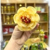 Hoa Sâm Hàn Quốc 1 bông 3 lớp cánh - Trang Trí Bình Sâm, Giá ưu đãi 120.000 7