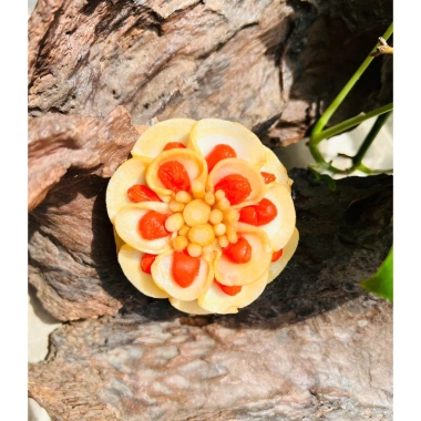Hoa Sâm Hàn Quốc 1 bông 3 lớp cánh - Trang Trí Bình Sâm, Giá ưu đãi 120.000 9