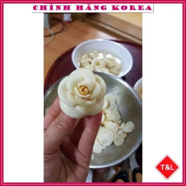 Hoa Sâm Tươi Hàn Quốc 6 Năm Tuổi - Tỉa Nghệ Thuật, Giá Ưu Đãi 195.000đ