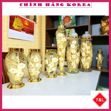 Hoa Sâm Tươi Hàn Quốc 6 Năm Tuổi - Tỉa Nghệ Thuật, Giá Ưu Đãi 195.000đ 6 Hoa Sâm Tươi Hàn Quốc 6 Năm Tuổi - Tỉa Nghệ Thuật, Giá Ưu Đãi 195.000đ 6
