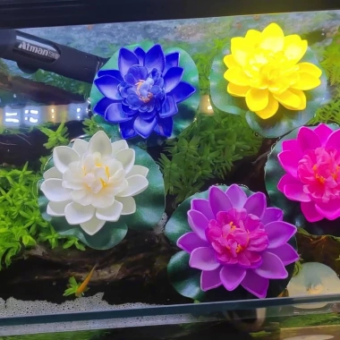 Hoa Sen Nổi Xử Lý Mùng 6 Trang Trí Hồ Cá Bể Cá Thuỷ Sinh Giá Ưu Đãi 14,000₫ 2 Hoa Sen Nổi Xử Lý Mùng 6 Trang Trí Hồ Cá Bể Cá Thuỷ Sinh Giá Ưu Đãi 14,000₫ 2