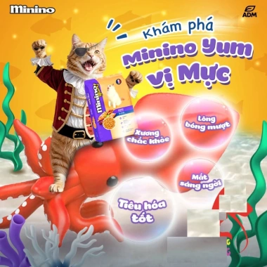 Hoả Tốc 21H Combo 10 Gói 350g Hạt MININO Cho Mèo Mọi Lứa Tuổi Vị Mực Nướng - Giá chỉ 170.000đ Giảm 21% 8